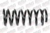 BSG BSG 30-305-014 Coil Spring